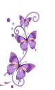 pngtree-purple-butterfly-png-image_1817222